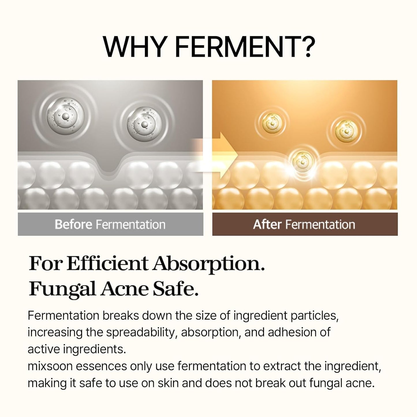 MIXSOON Bean Essence 50ml | Exfoliación suave e hidratación luminosa